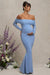 Pretty Perfect | Powder Blue Maternity Ruched Mesh Bardot Maxi Dress - Club L 