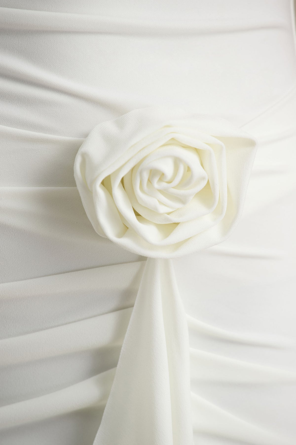 uploaded_image_4_645pp