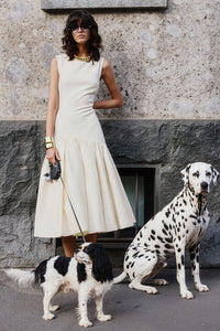 dalmatian-EDITED.jpg