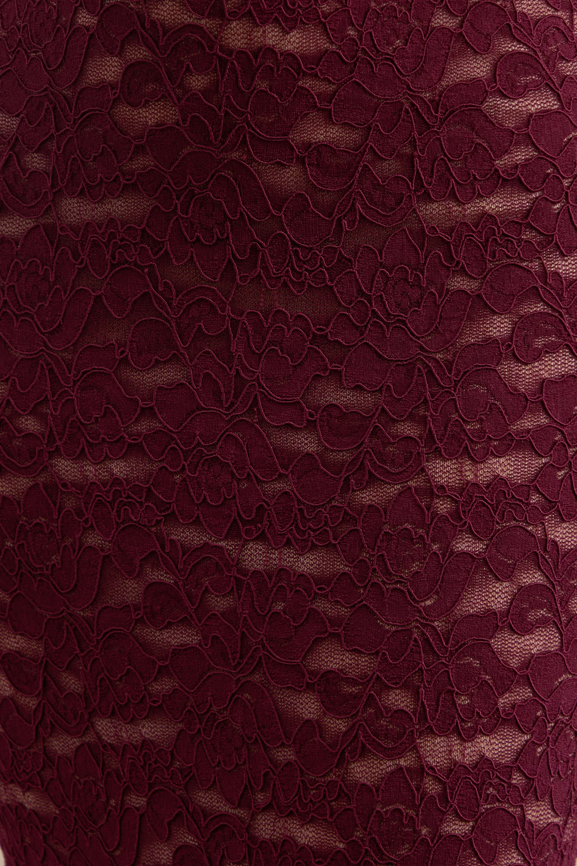 CL3819710206_CL138197102_-_Ivana___Burgundy_Lace_Bardot-Neck_Crop-Top_4